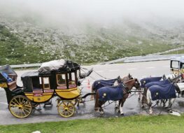 007 - pause für mensch und tier